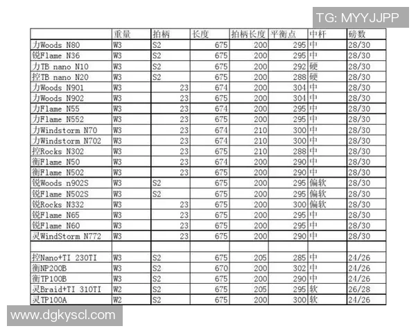 广州羽毛球队战术表现数据分析揭示的关键因素与未来发展方向 广州羽毛球队战术表现数据分析揭示的关键因素与未来发展方向