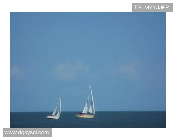 张帆：在风浪中扬帆起航的勇者与探索者的传奇故事